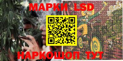 spice Чебоксары