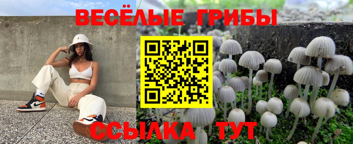 Галлюциногенные грибы мухоморы  Вход с VPN  Бердск 