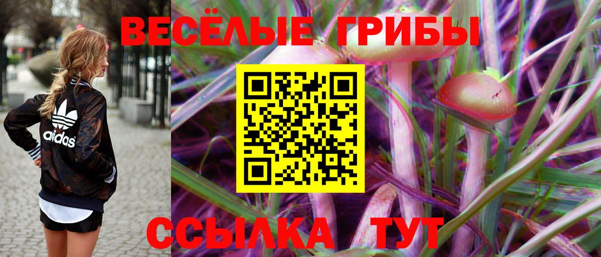 Галлюциногенные грибы мицелий Бердск